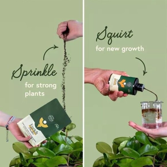 Houseplant Revive and Thrive Duo Kit by We The Wild - Picture 3 of 5